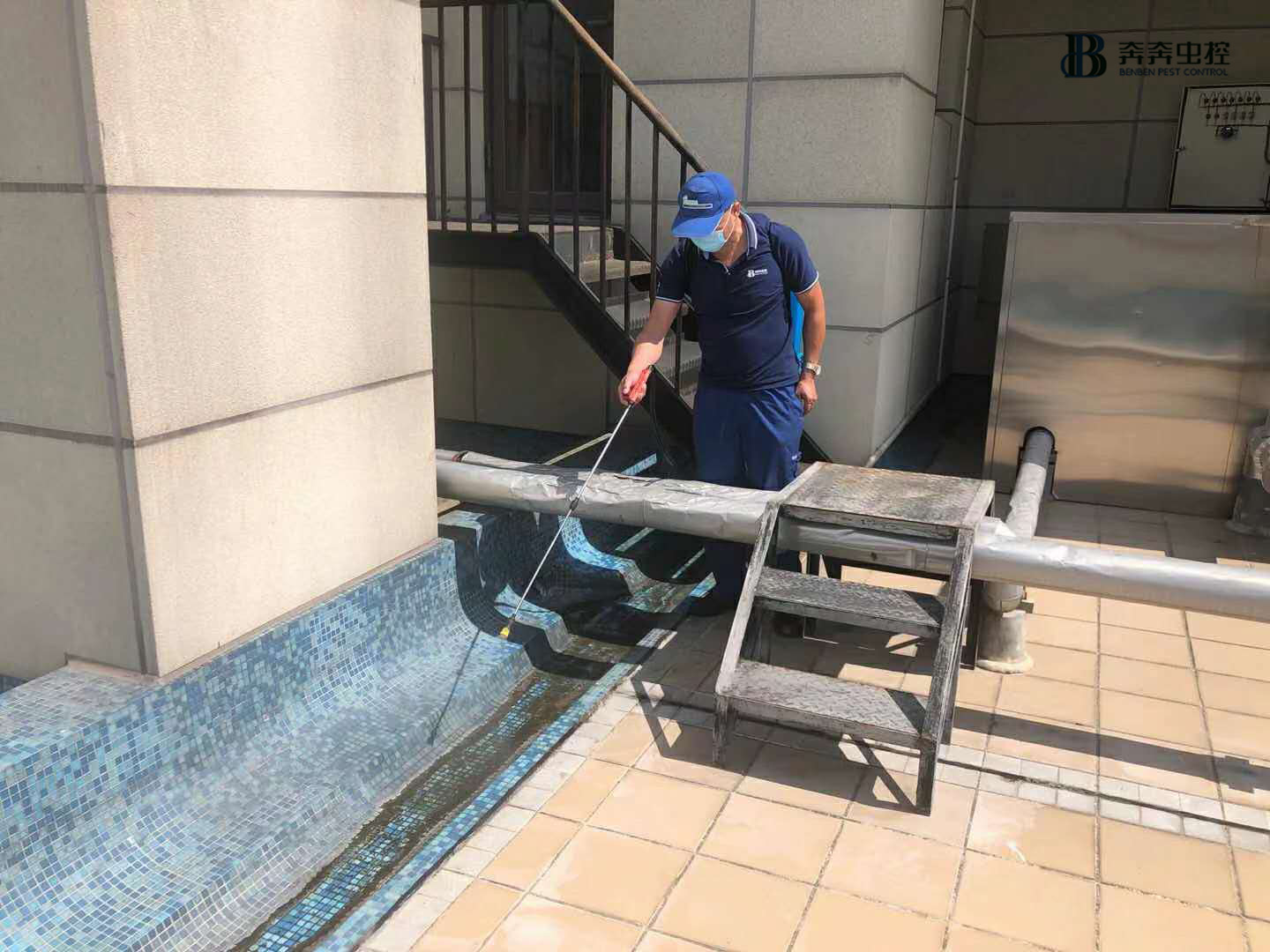 專業殺蟲公司，24小時隨時響應！