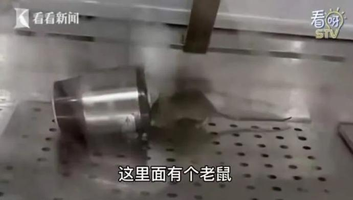 食品柜里老鼠亂竄？紫燕百味雞部分門店停業.