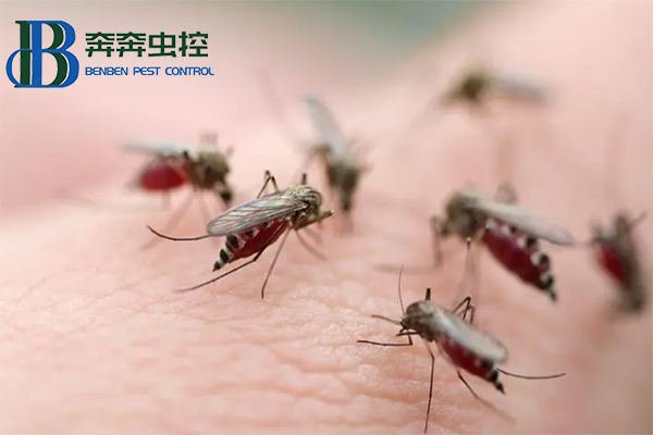 如何驅趕蚊子