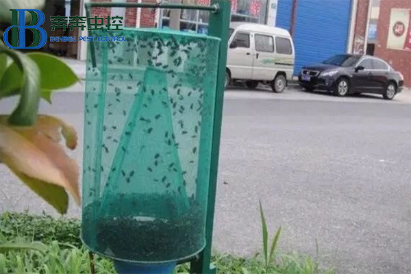 消滅蒼蠅，你知道有多少招嗎？