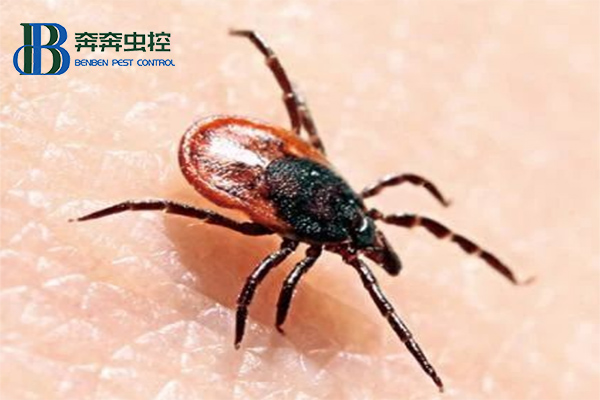 蜱蟲的科學防治