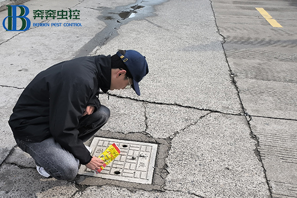 “衛”愛守護，健康校園！消滅四害，人人有責