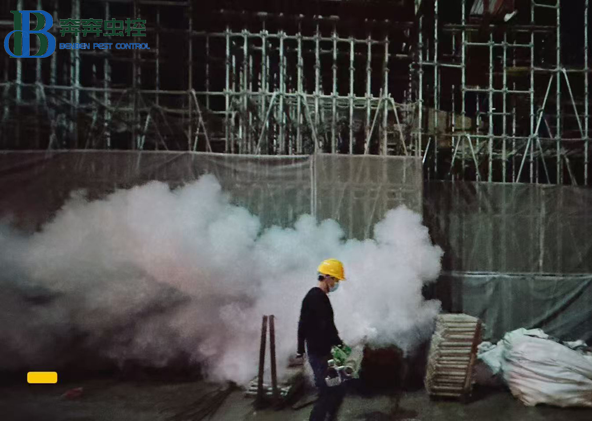 工地夏季滅蚊攻略：從“治蚊”到“防蚊”，守護施工安全與健康